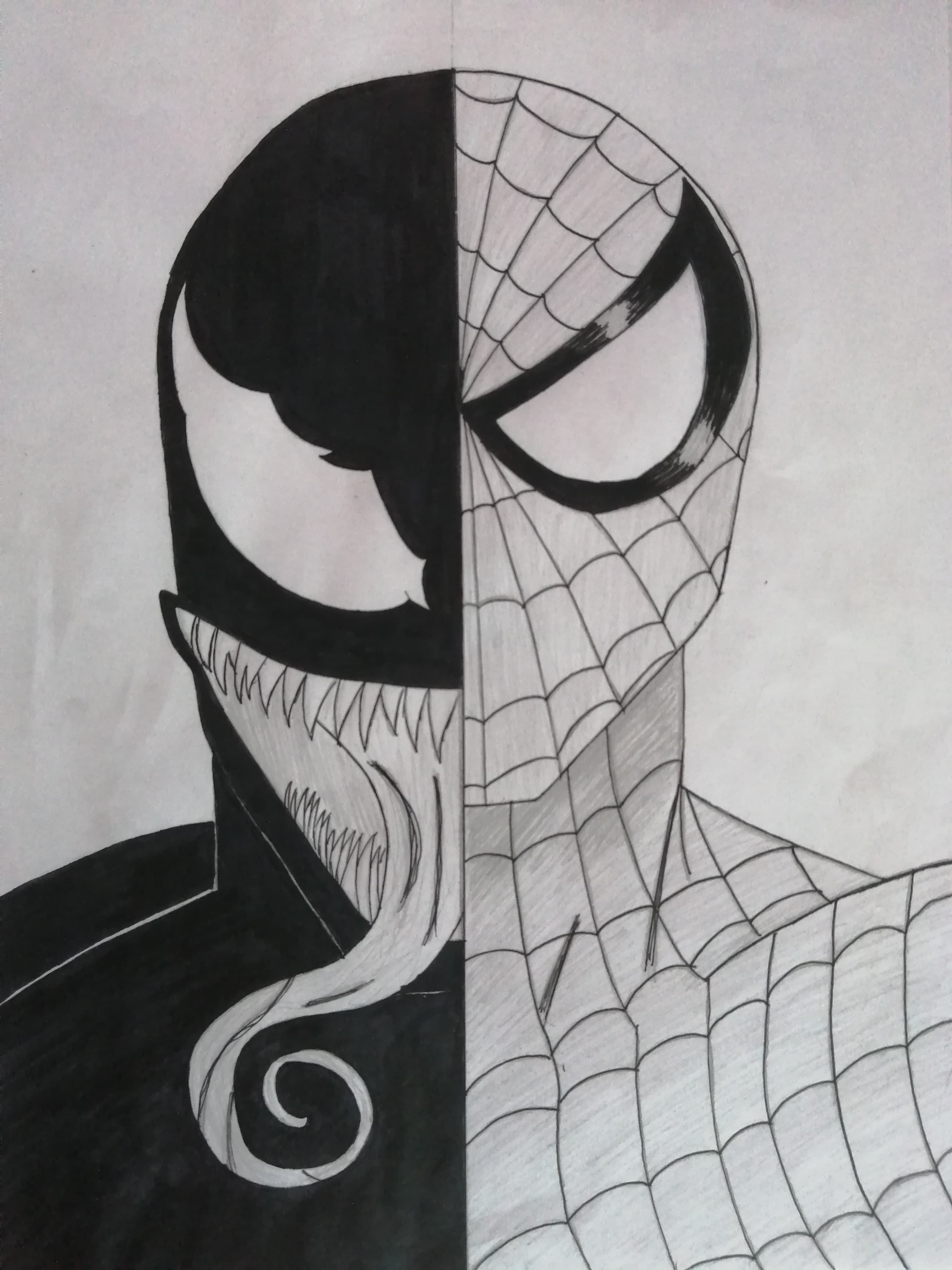 Spider